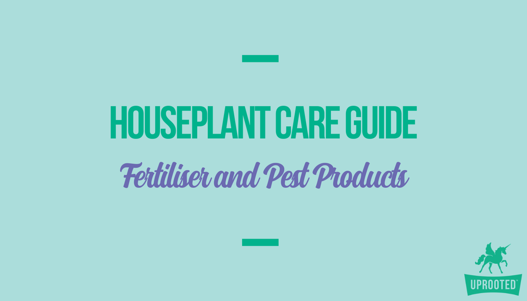 Fertiliser and Pest Products: Houseplant Care Guide - Uprooted