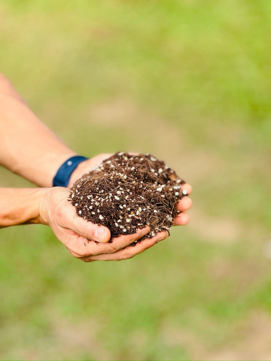 Premium Indoor Plant Potting Mix | Uprooted