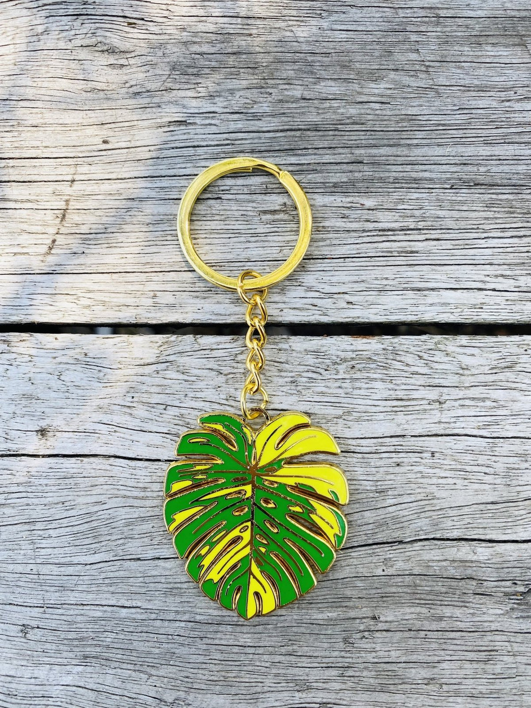 Mature Monstera Deliciosa Aurea Keyring | Uprooted