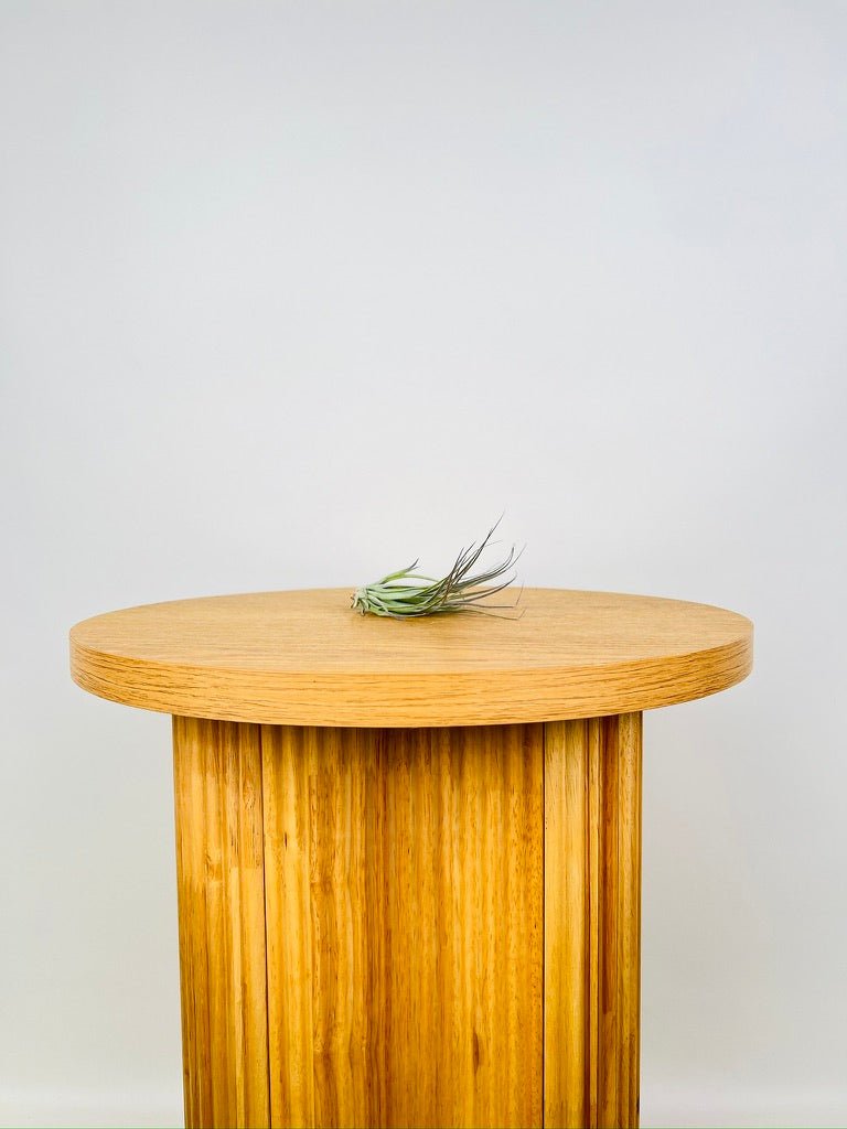 Tillandsia Houston | Uprooted